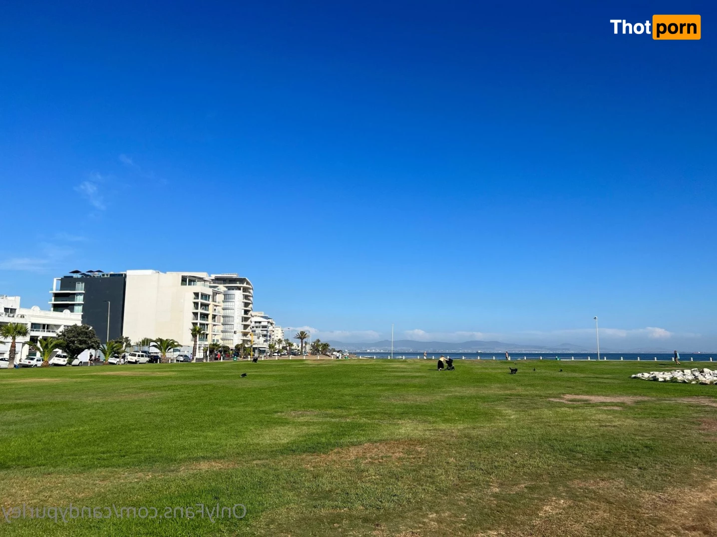 Candy Purley 3593136