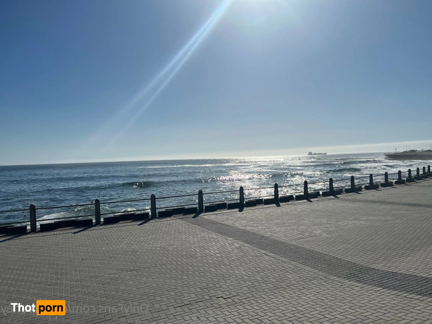 Candy Purley 3593258