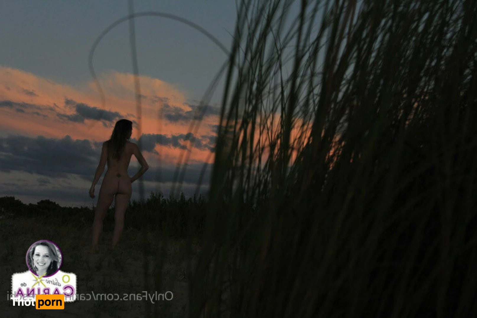 carinamoreschi 3784527