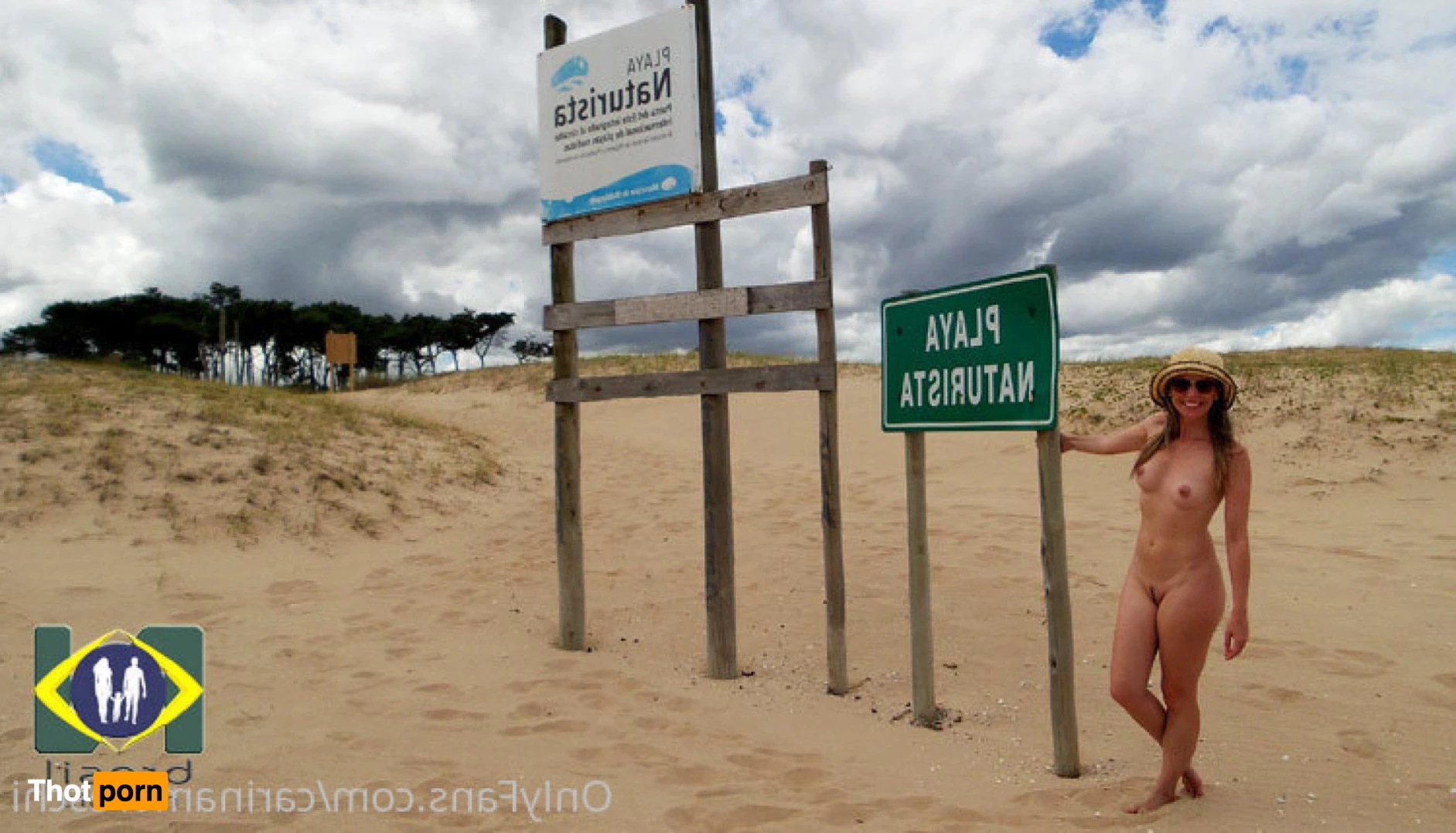 carinamoreschi 3786623