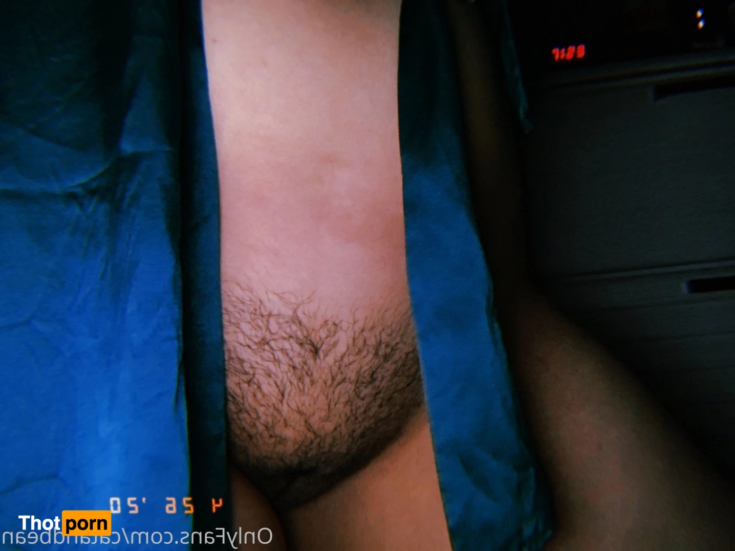 cat and bean! 3725810