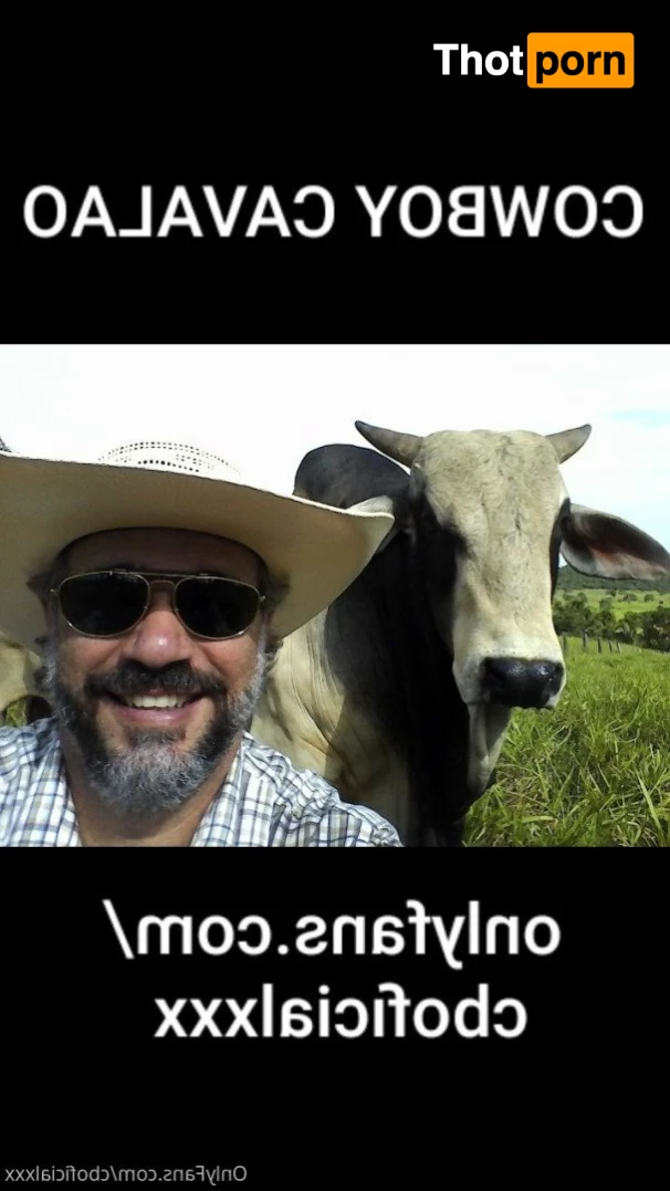 CowboyCavalao 4083649