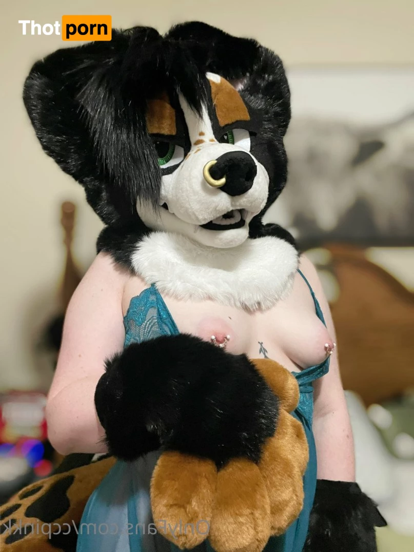 Mutt Sloot 🐾 3608642