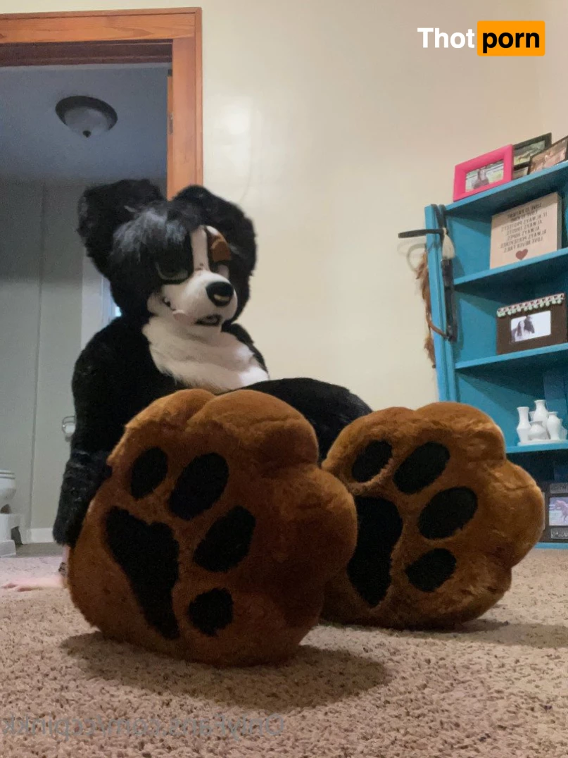 Mutt Sloot 🐾 3610080