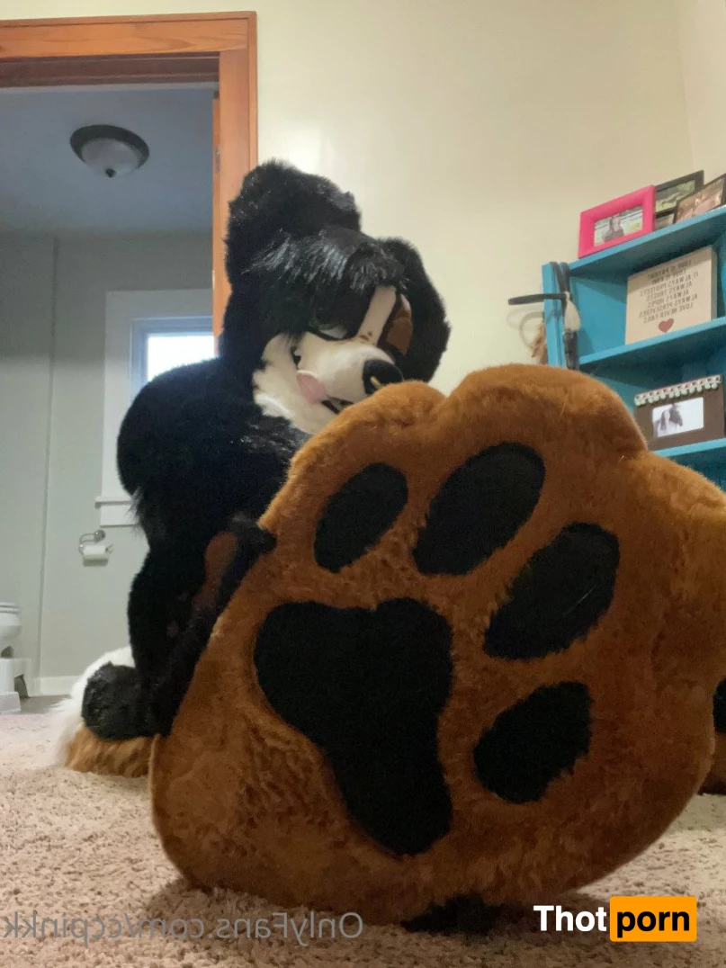 Mutt Sloot 🐾 3610289