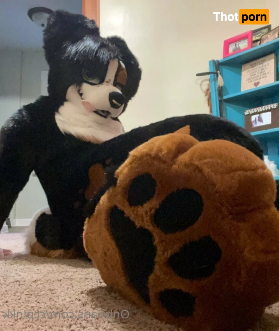 Mutt Sloot 🐾 3610475