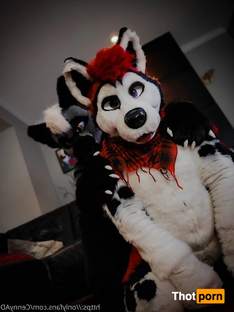 Cenny After Bark 💄 3623885