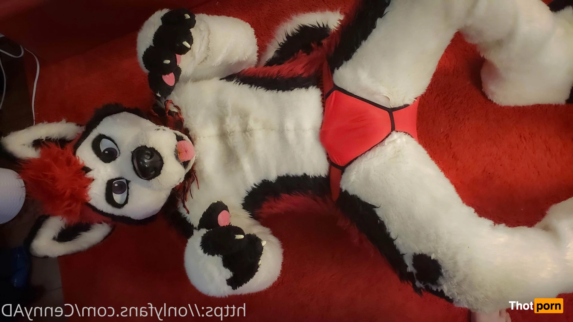 Cenny After Bark 💄 3623987