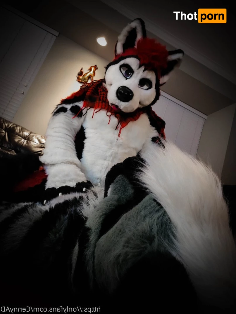 Cenny After Bark 💄 3624195