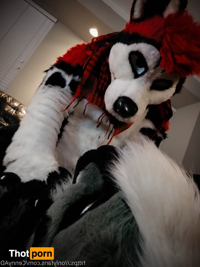 Cenny After Bark 💄 3624490