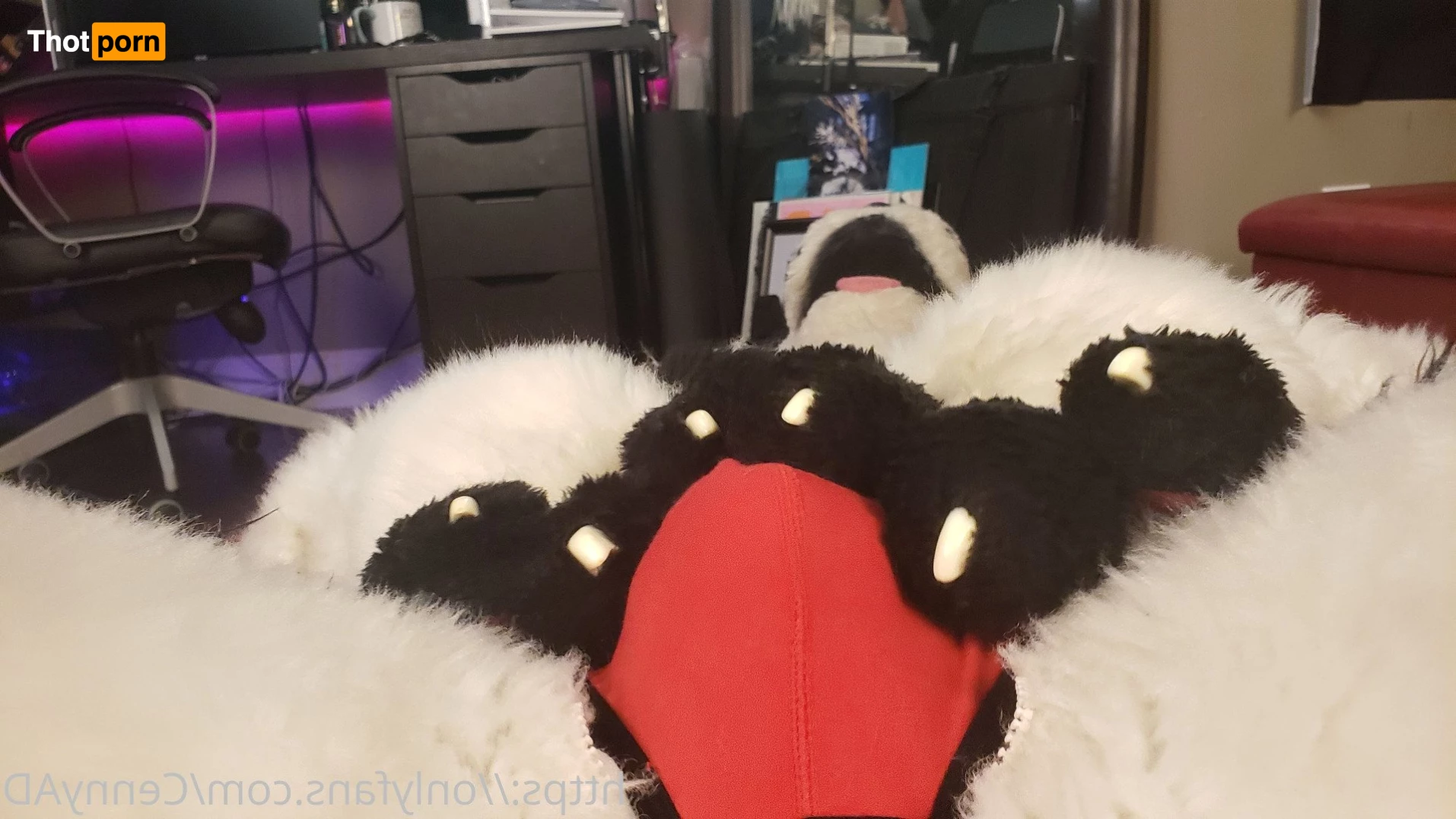 Cenny After Bark 💄 3624598