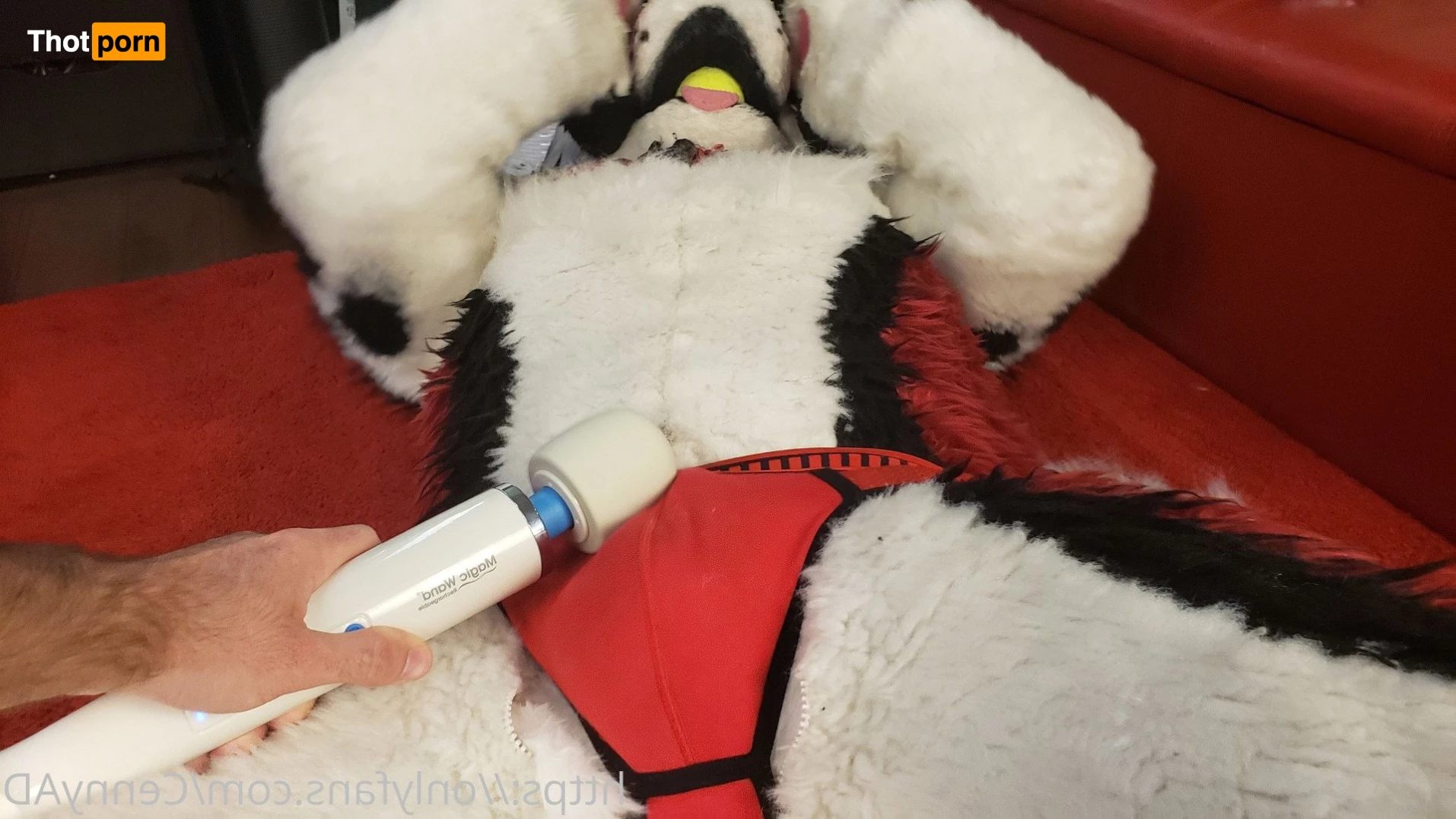 Cenny After Bark 💄 3624699