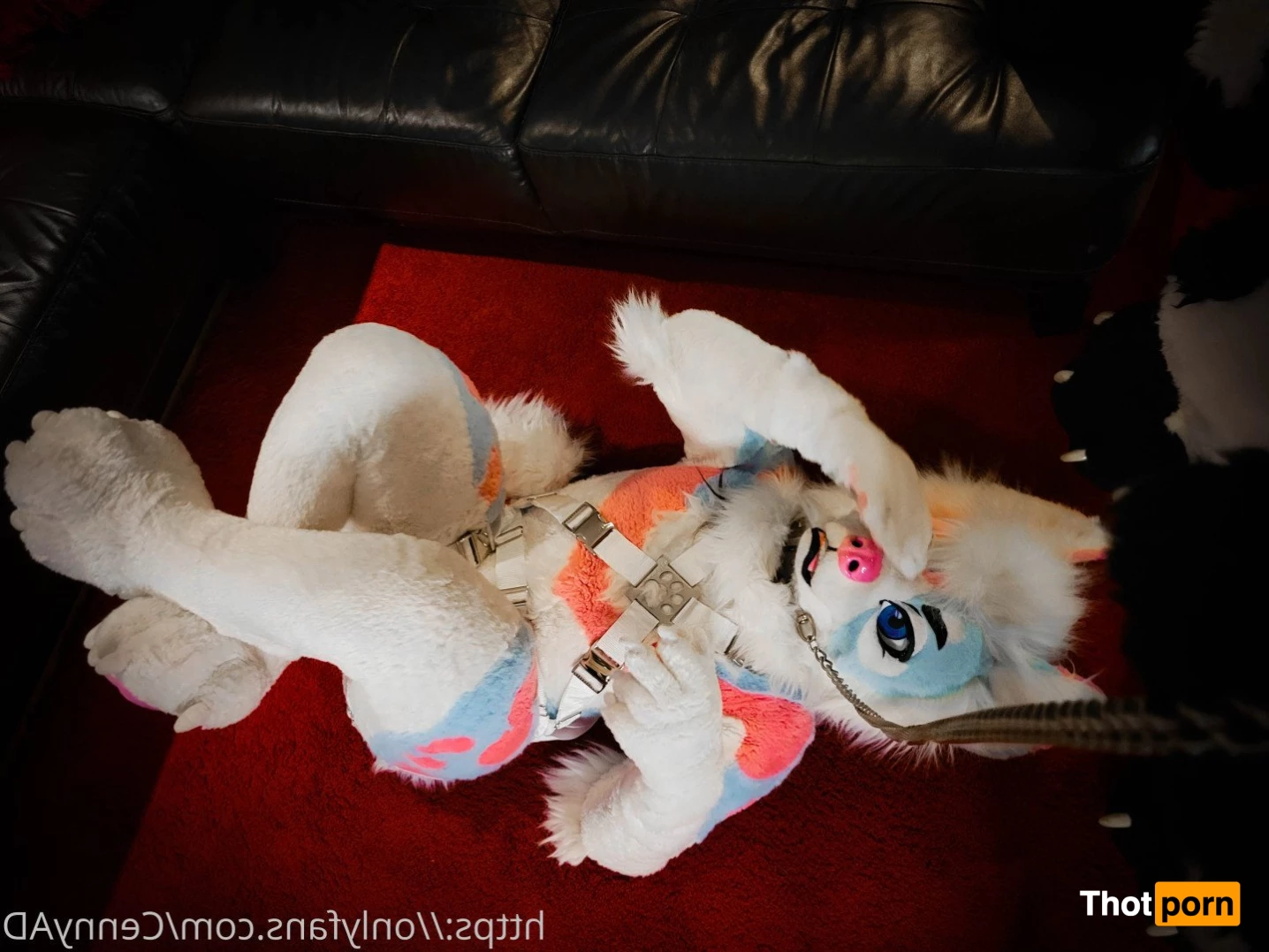 Cenny After Bark 💄 3624887