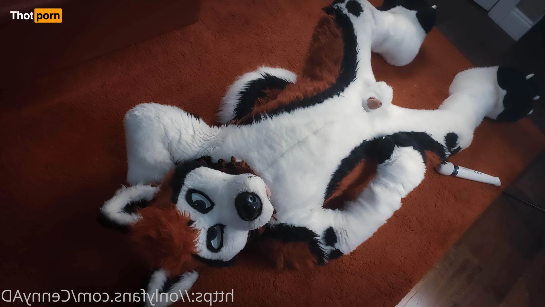 Cenny After Bark 💄 3625010