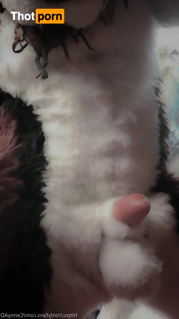 Cenny After Bark 💄 3625124