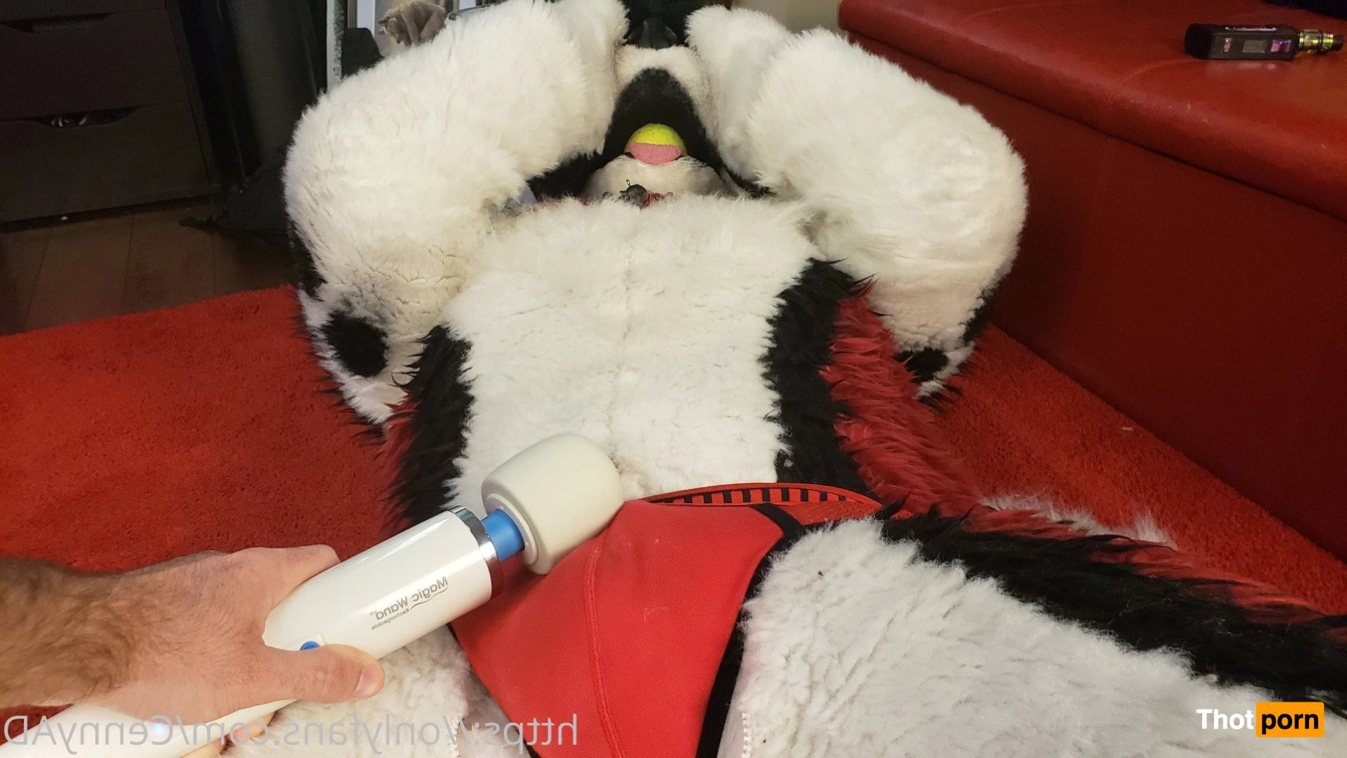 Cenny After Bark 💄 3625217