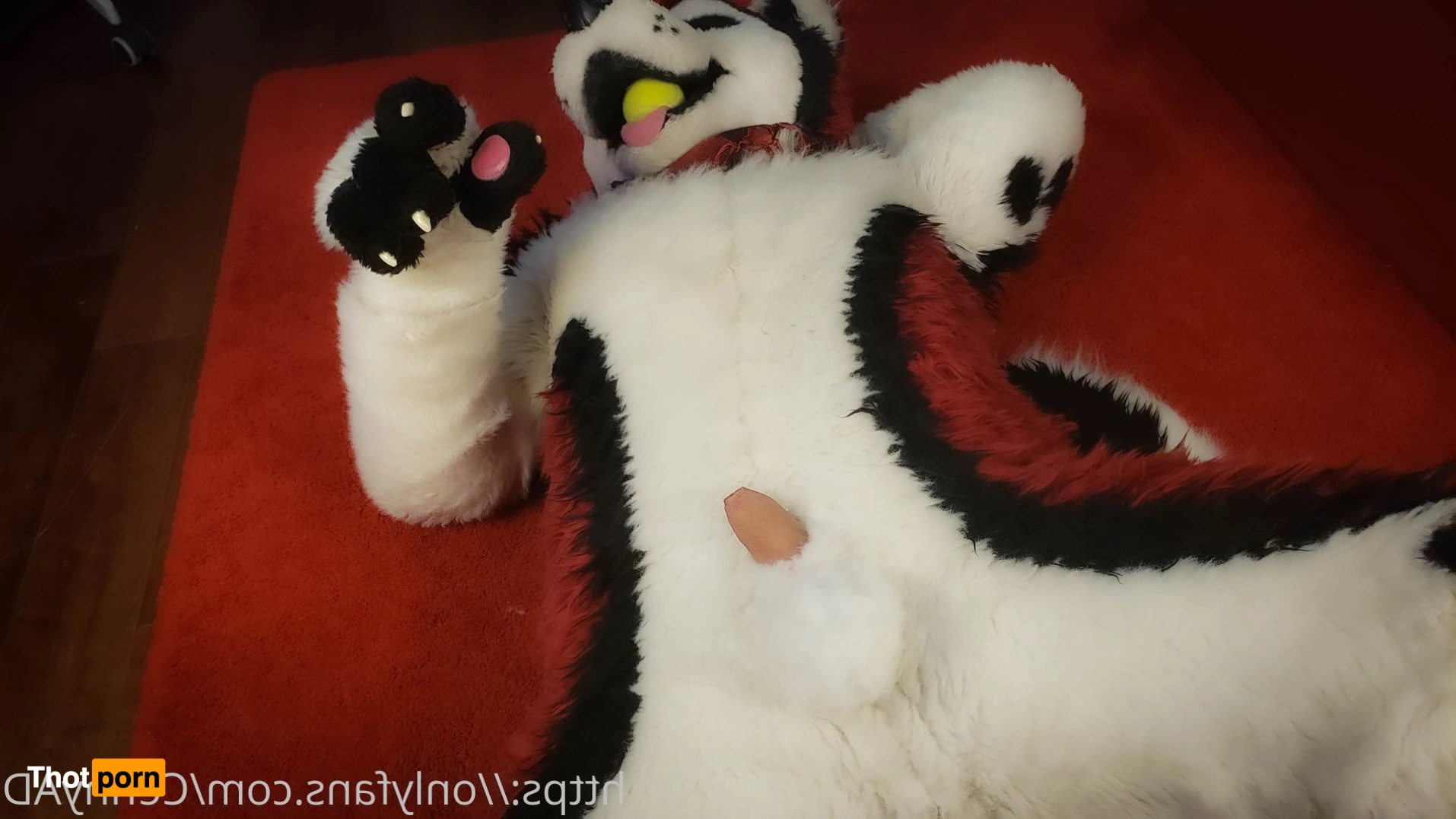 Cenny After Bark 💄 3625520