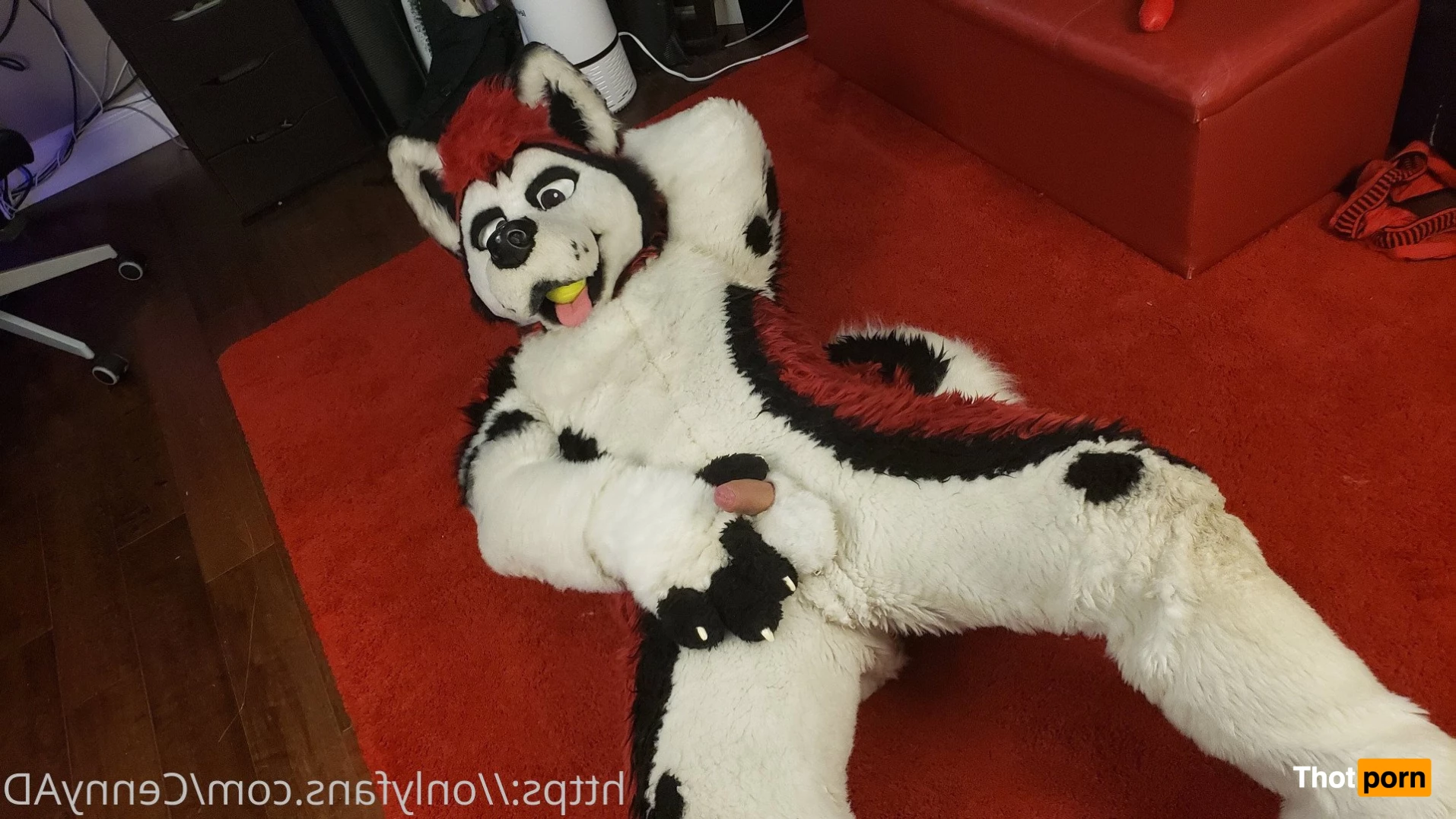 Cenny After Bark 💄 3625607