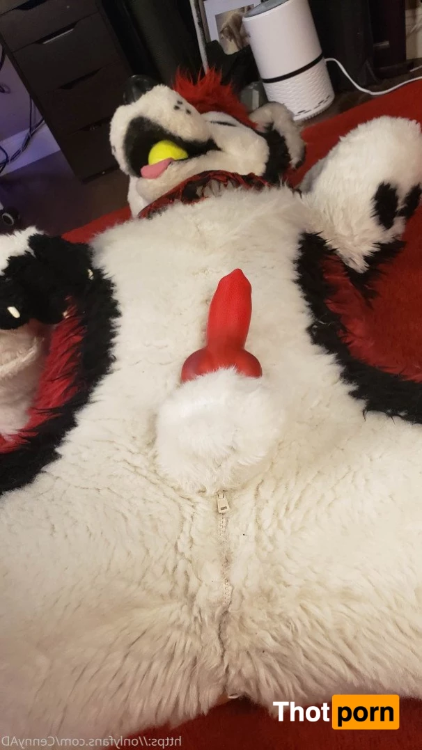 Cenny After Bark 💄 3625977