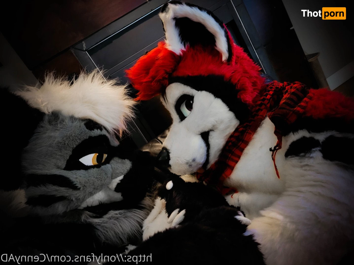 Cenny After Bark 💄 3626085