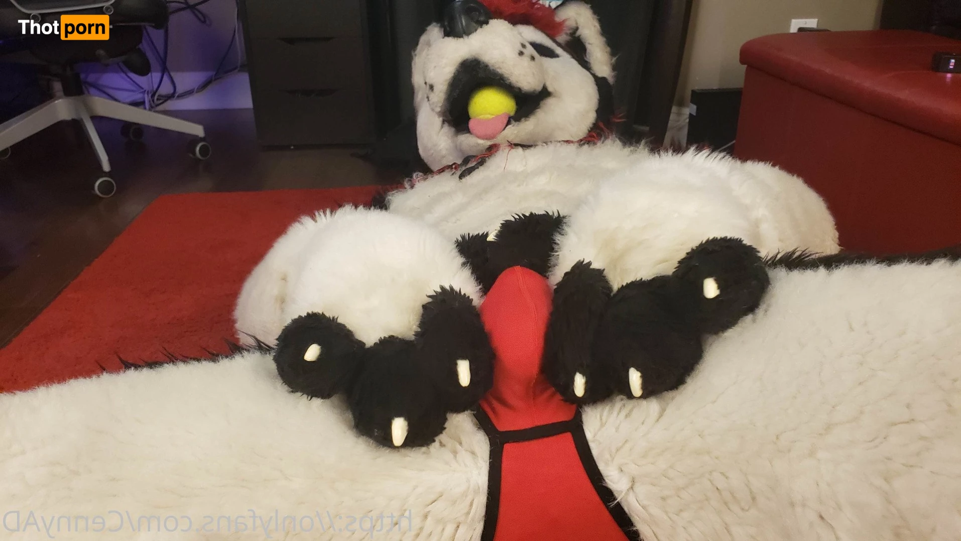 Cenny After Bark 💄 3626275