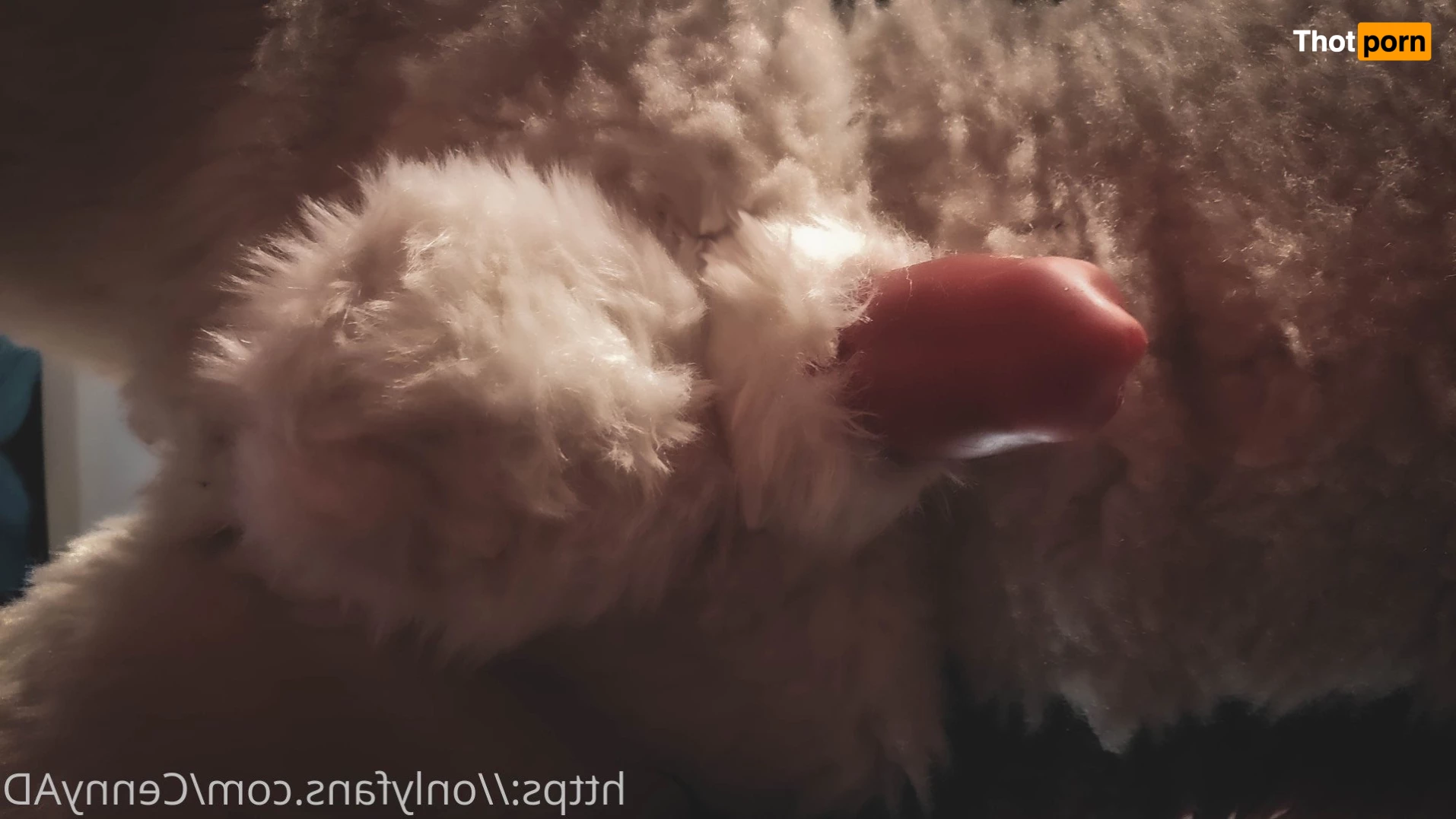 Cenny After Bark 💄 3626427