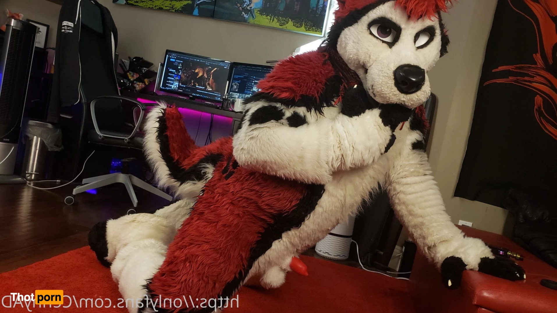 Cenny After Bark 💄 3626789