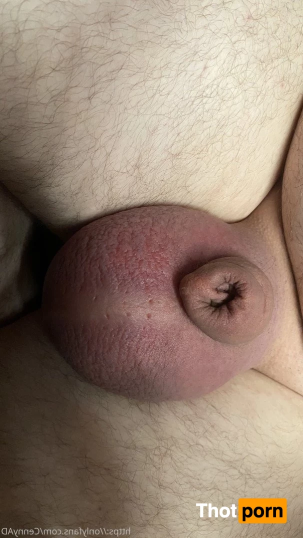 Cenny After Bark 💄 3626832