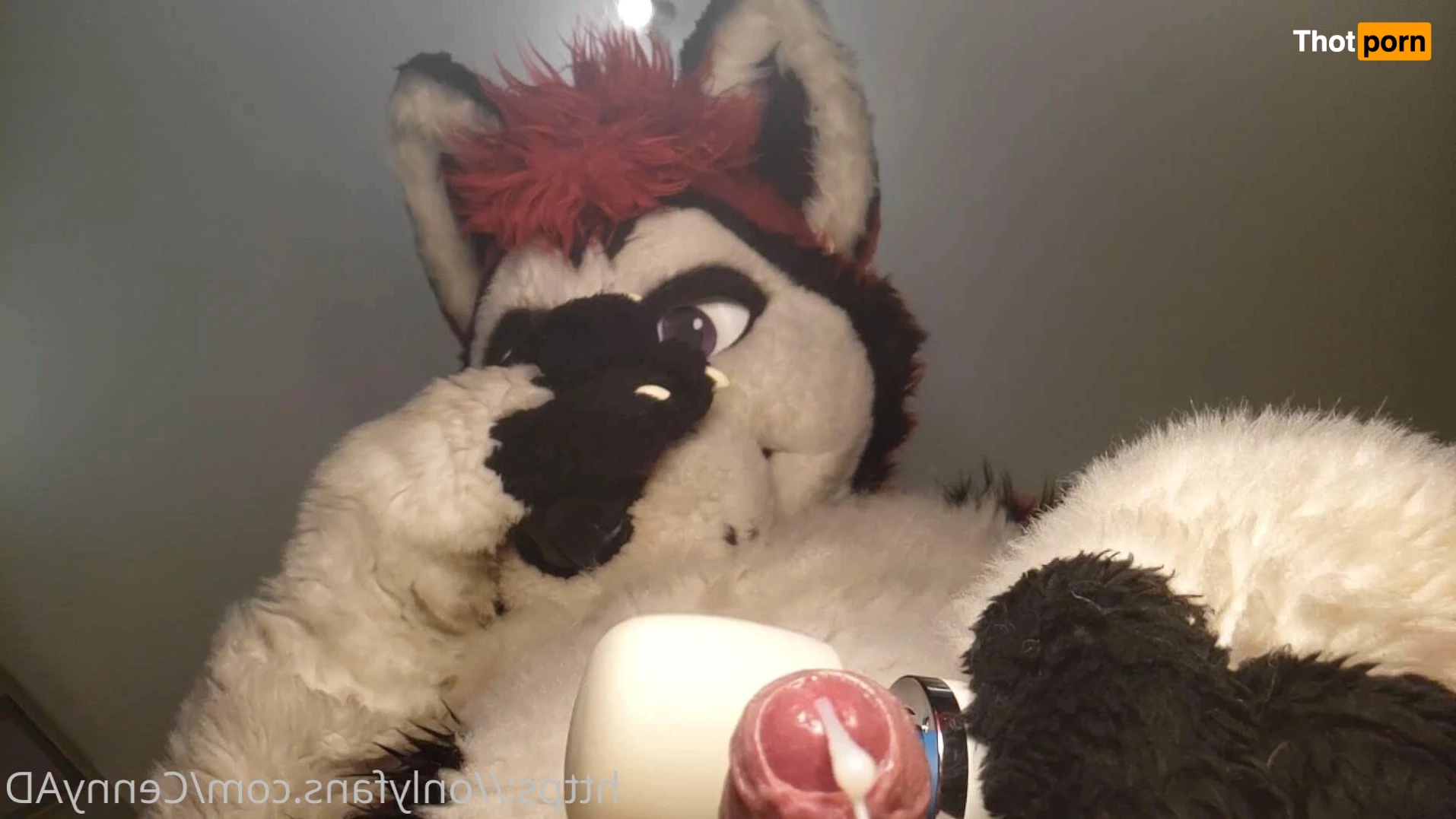 Cenny After Bark 💄 3626935