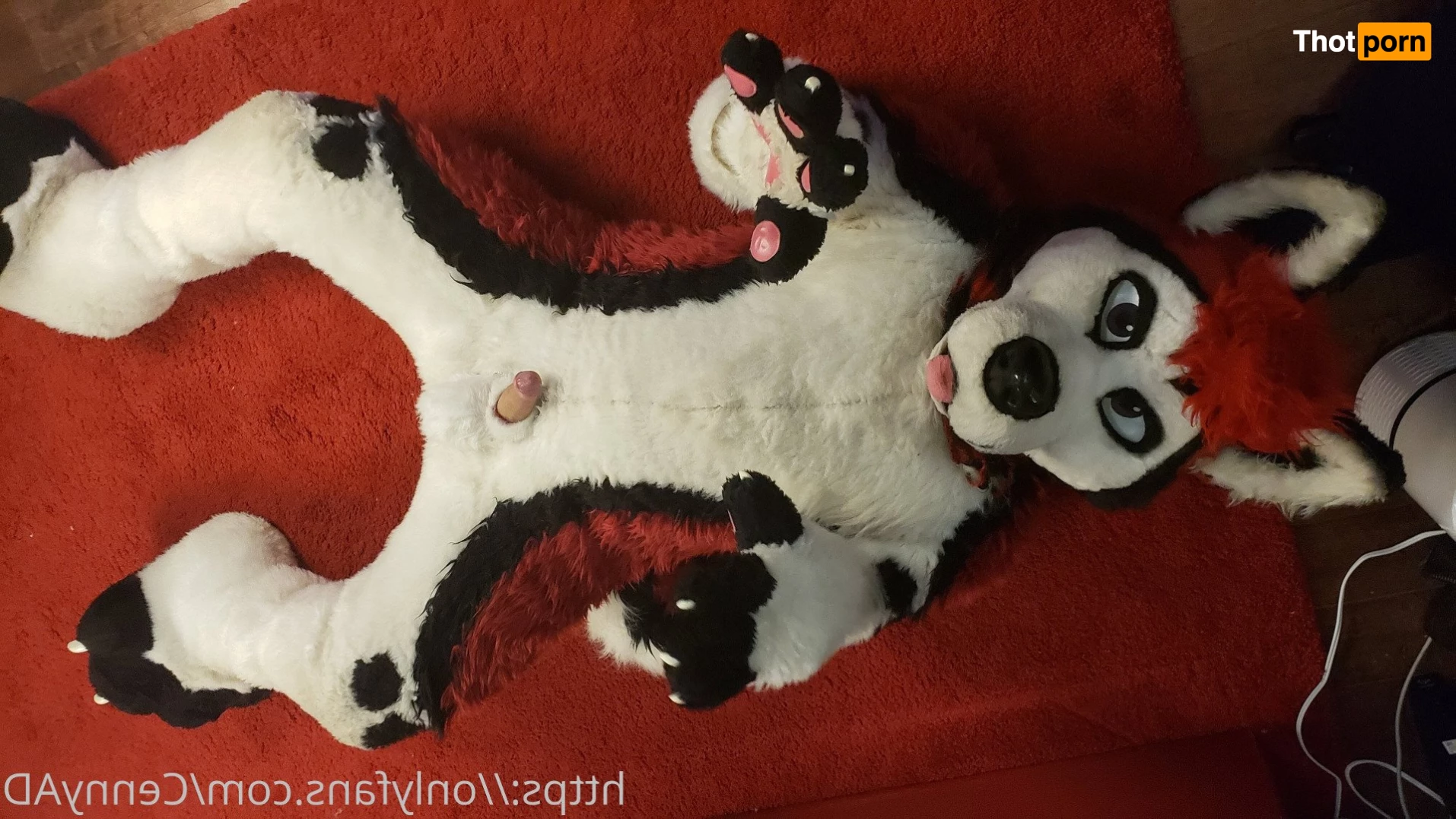 Cenny After Bark 💄 3627187