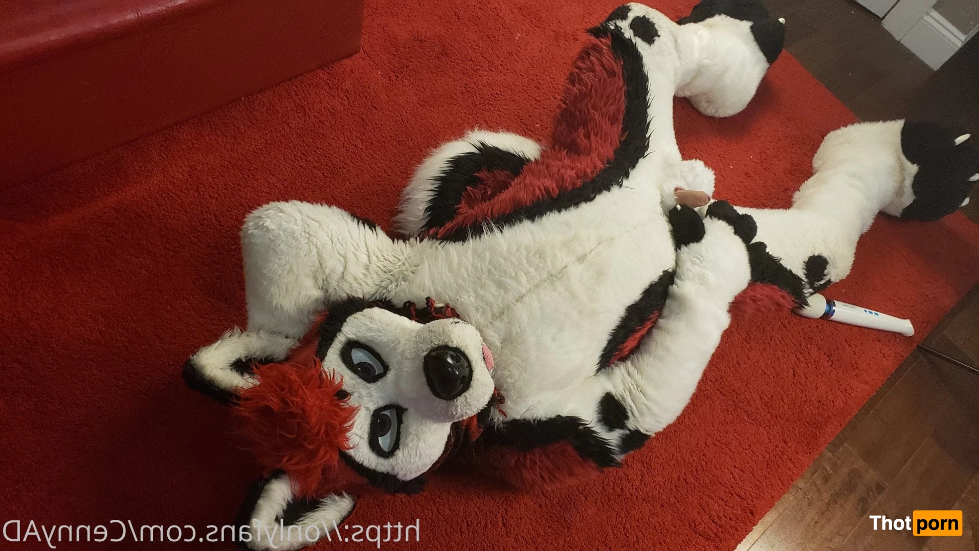 Cenny After Bark 💄 3627385