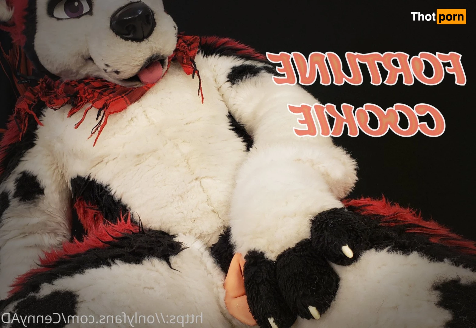 Cenny After Bark 💄 3627589