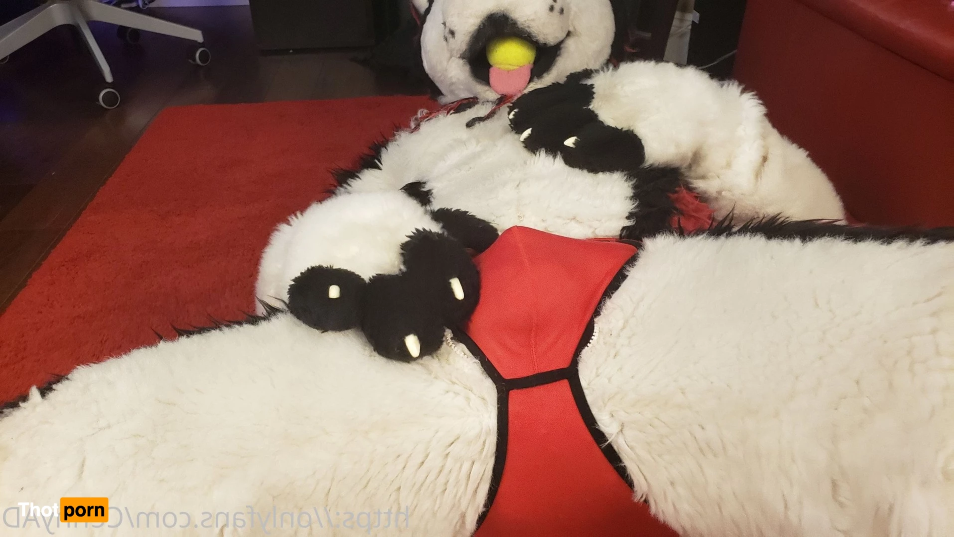 Cenny After Bark 💄 3627890