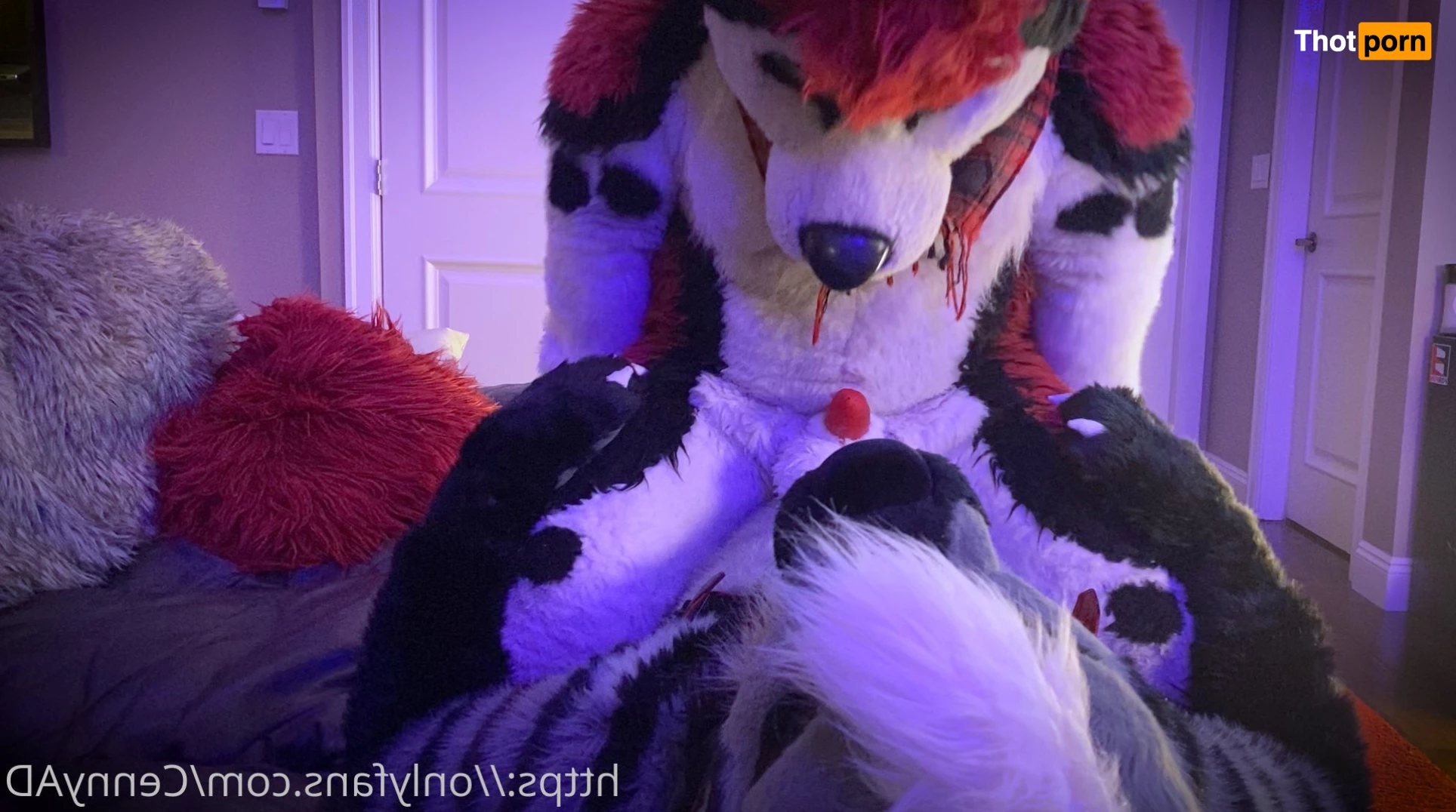 Cenny After Bark 💄 6360571