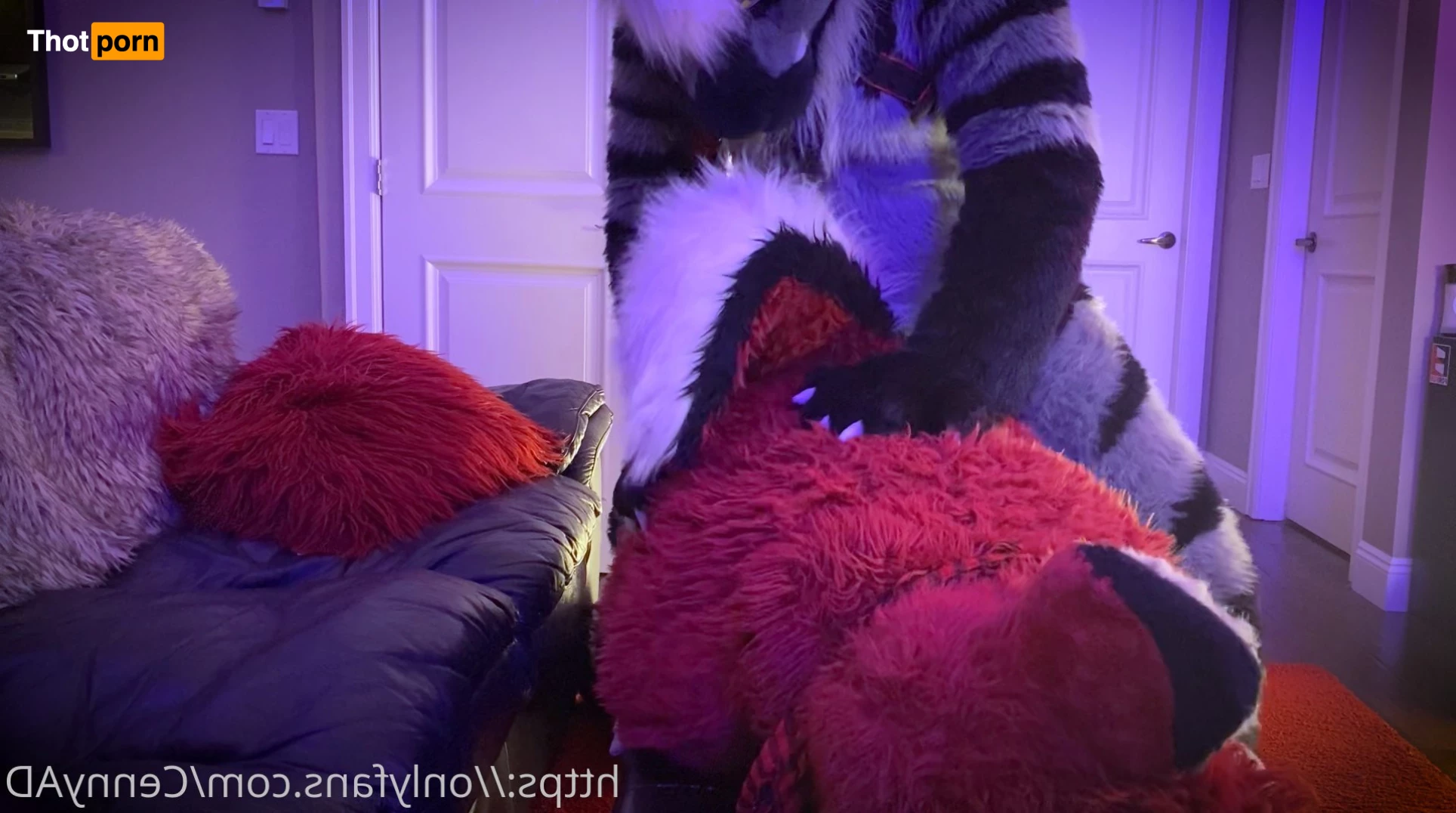 Cenny After Bark 💄 6360578