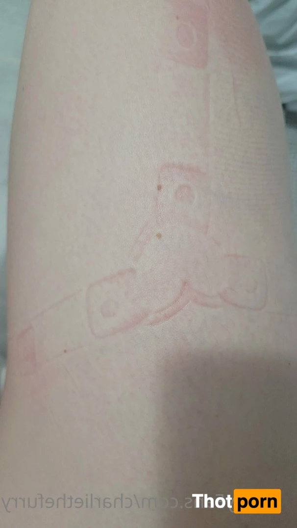 charlie.the.furry.cat 3584004