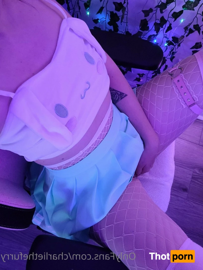 charlie.the.furry.cat 3584066