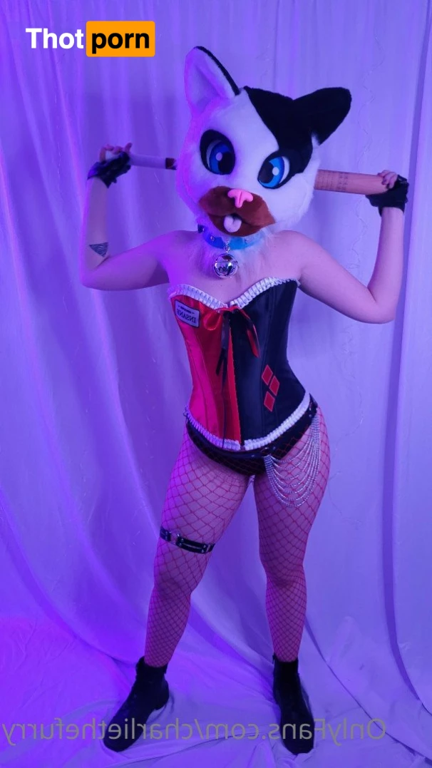 charlie.the.furry.cat 3584332