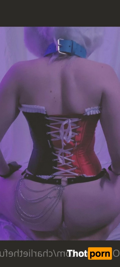 charlie.the.furry.cat 3584661