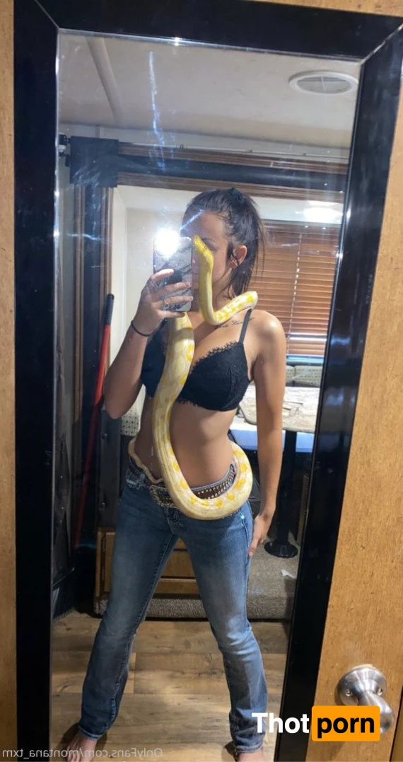 🌺MONTAÑA 3310846