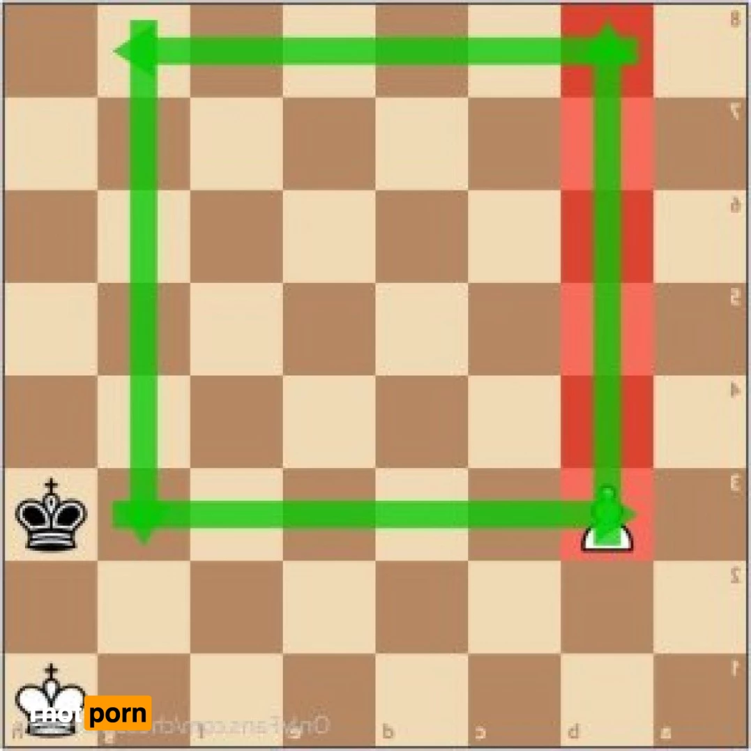 ♟Miss Rook♟ 3426666