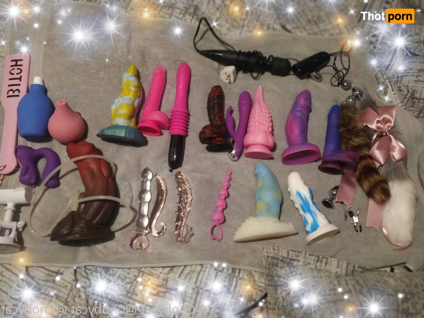 Choby cat✨ 3591448