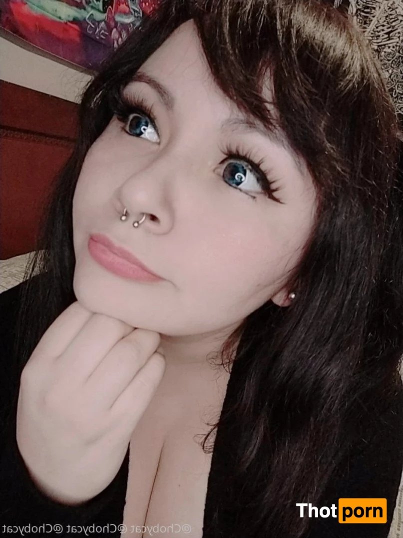 Choby cat✨ 3593137