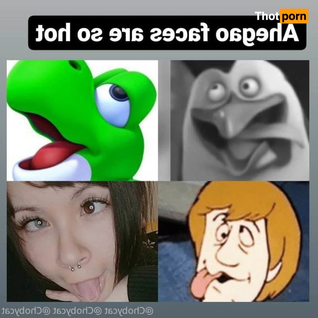 Choby cat✨ 3593204