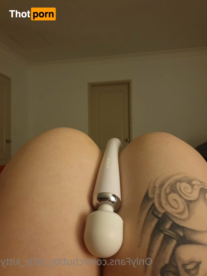 chubby_little_kitty 3532620