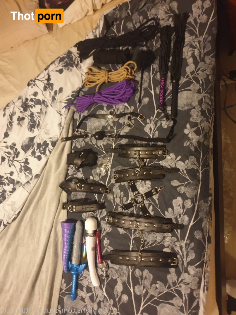 chubby_little_kitty 3532623