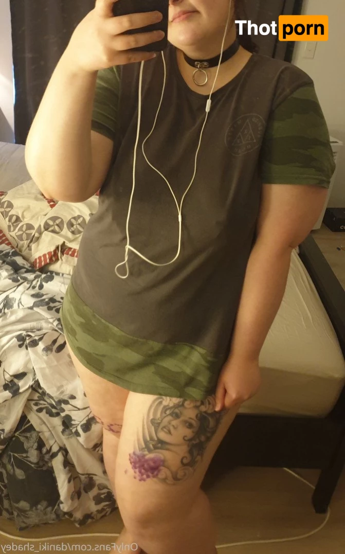 chubby_little_kitty 3532675