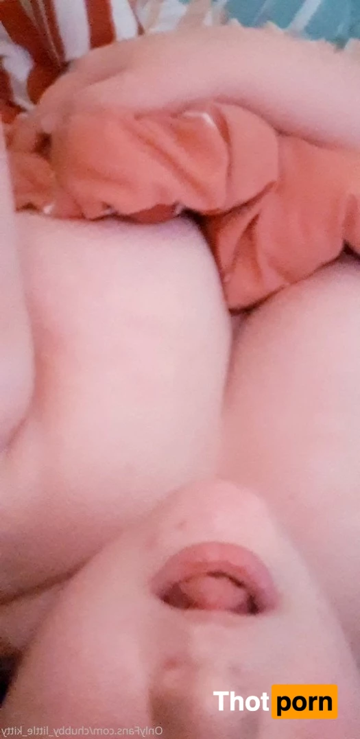 chubby_little_kitty 3532719