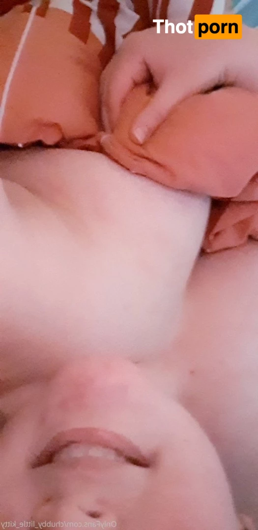 chubby_little_kitty 3532747