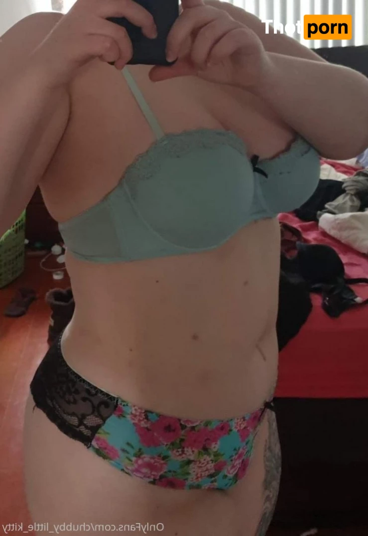 chubby_little_kitty 3532767